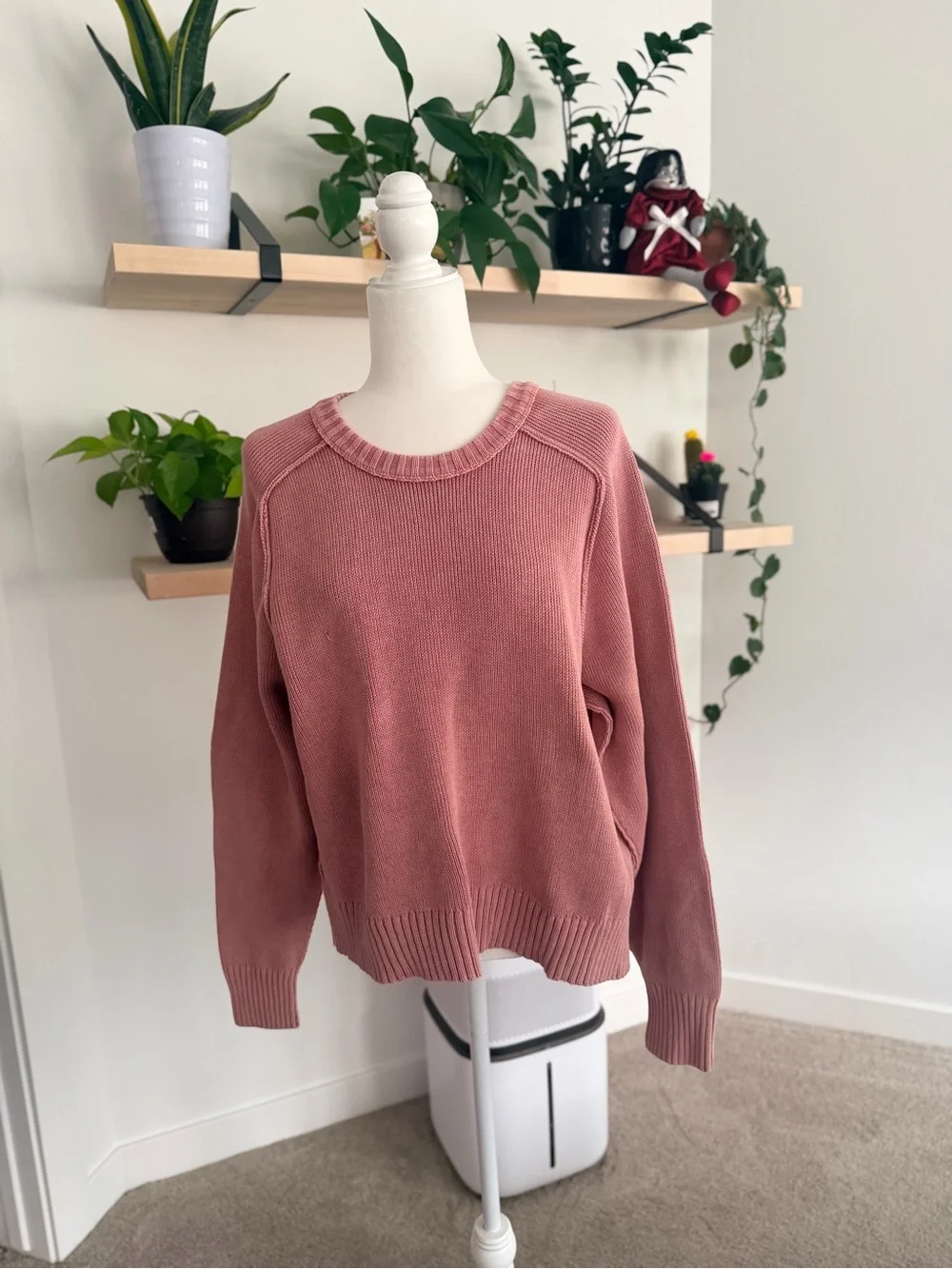 Free People Spring Street Pullover